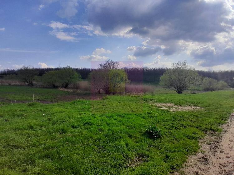 Teren în Central