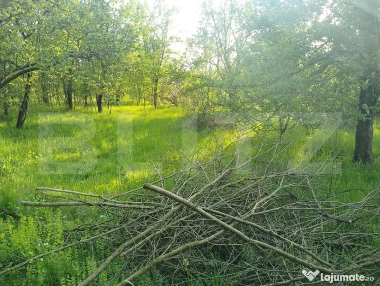 Teren intravilan de vanzare, 3.317 mp, zona Simeria Veche - 1