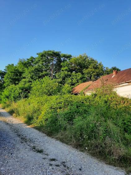 Casă cu 10 camere cu Teren 12000 Mp în Zgribești