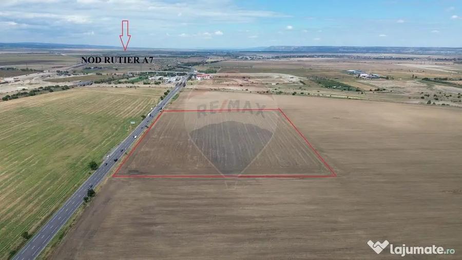 Teren de 27500 mp, în Tișița