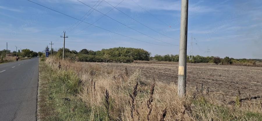 Teren de 5000 mp, în Bălanu