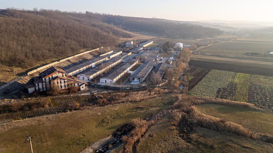 Spațiu industrial, de 50,000 mp, în Horgești