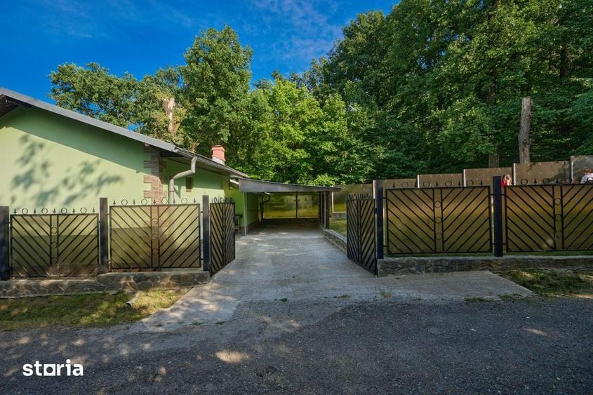 Casa + teren 507 mp cu vecin padurea Pitesti - 1