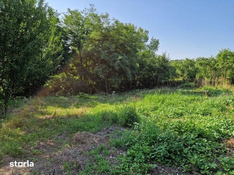 Teren de 2200 mp, în Milcoiu