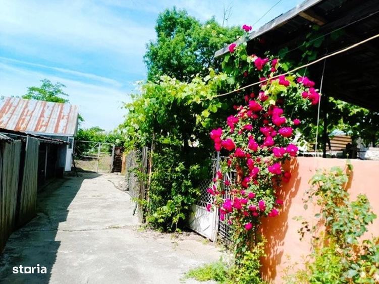 Casă cu 3 camere cu Teren 4302 Mp în Pleșoiu