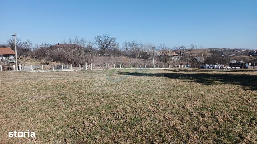 Teren de 4700 mp, în Brusturi