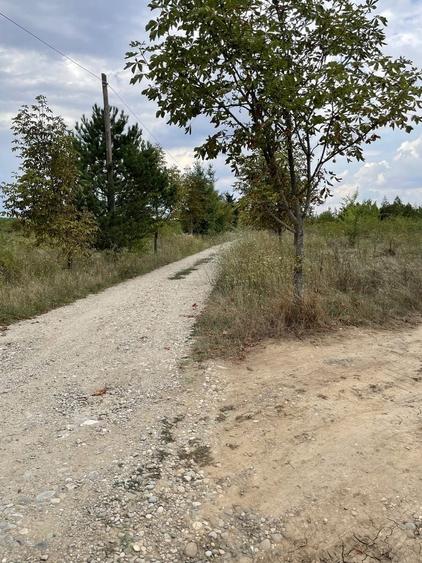 Teren de 3999 mp, în Bălteni