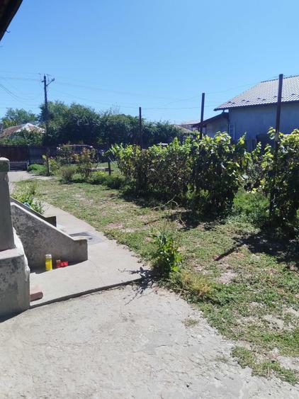 Casă cu 3 camere în Central