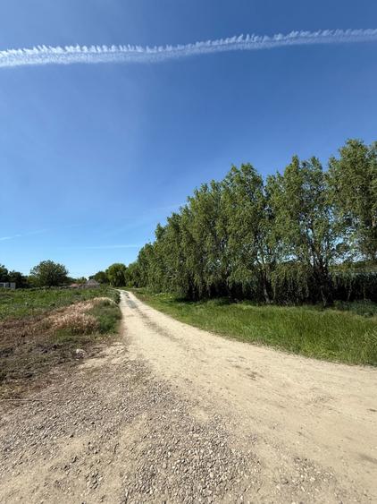 Teren Construcții intravilan de 1001 mp, în Ileana