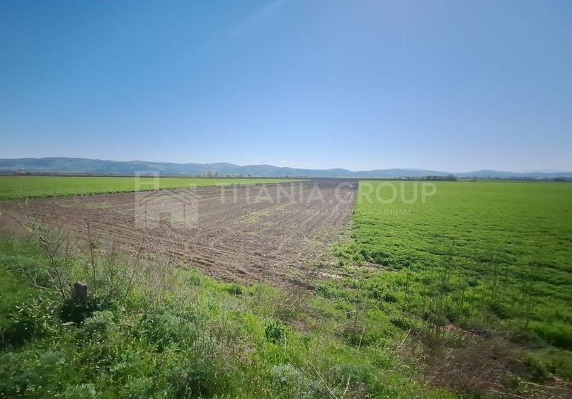 Teren agricol extravilan de 8700 mp, în Bod