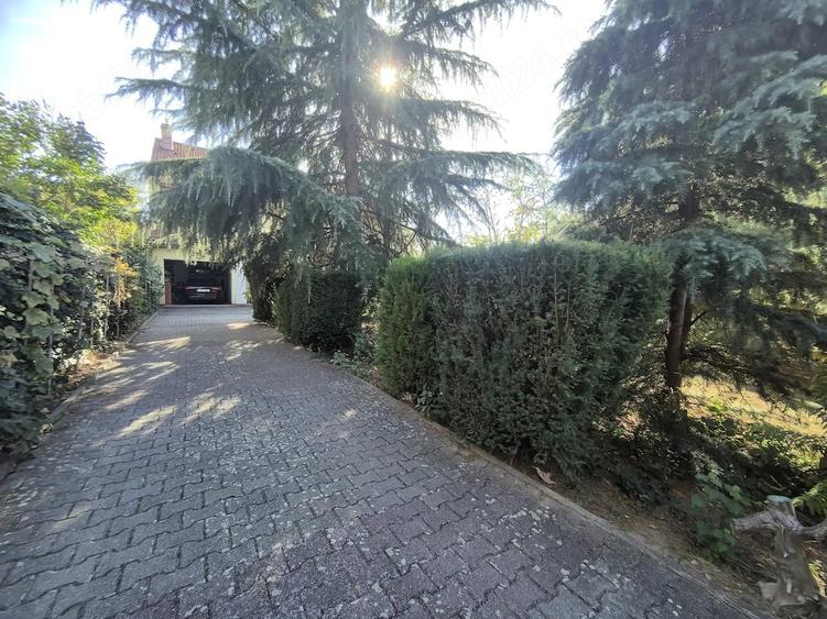 Casă cu Teren 1150 Mp în Central