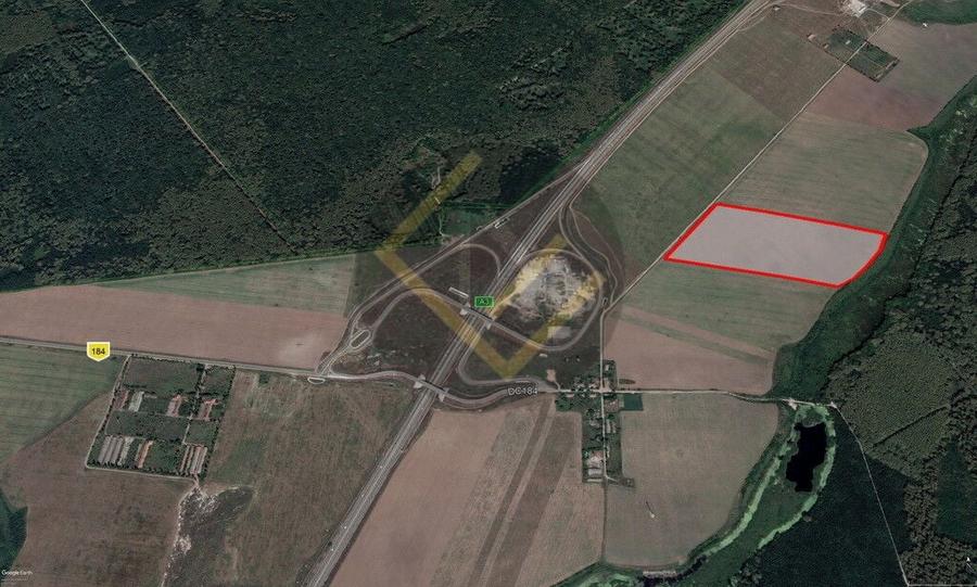 Teren Construcții intravilan de 91000 mp, în Snagov