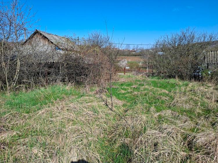 Teren Construcții extravilan de 2600 mp, în Ștefănești