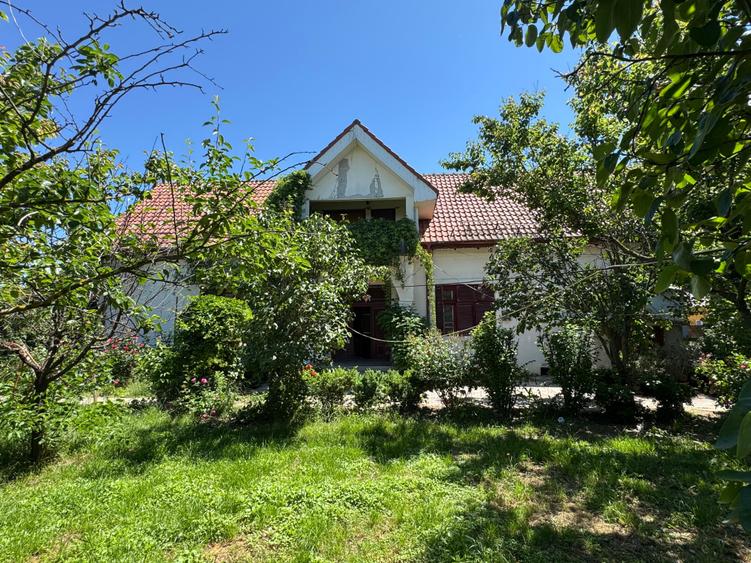 Casă individuală cu 8 camere cu Canalizare în Slătioara