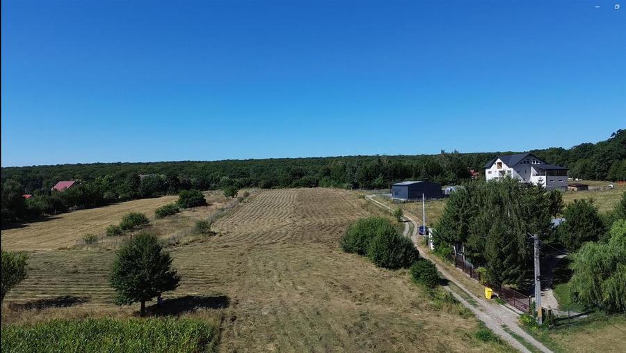Teren Construcții intravilan de 6200 mp, în Mitocu Dragomirnei