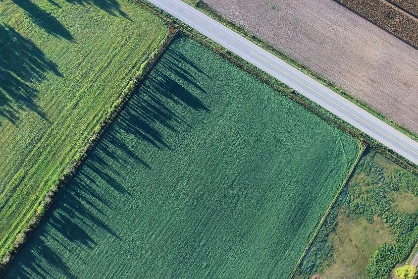 Teren de 7500 mp, în Almăj