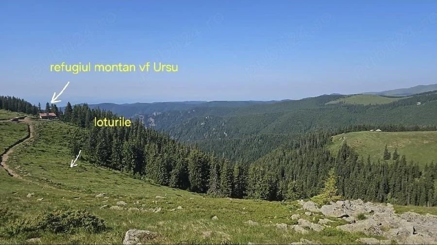 Teren de 2000 mp, în Central