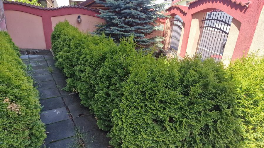 Casă cu 10 camere cu Canalizare în Bunloc