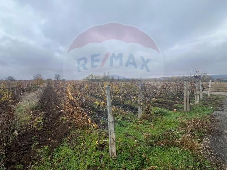 Teren Construcții intravilan de 2727 mp, în Cârligele