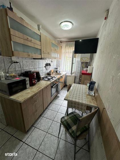 Garsonieră în Șagului