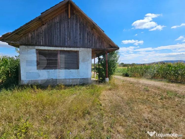 Teren extravilan 2.901 mp cu casa ?i utilita?i Unire - 5