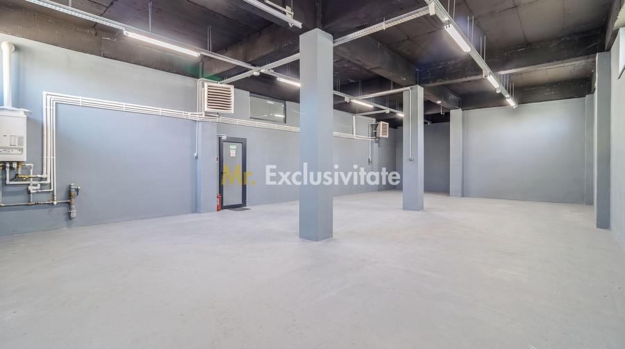 Spațiu industrial, de 306 mp, în Doamna Ghica