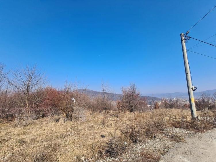Teren de 9100 mp, în Petrișor