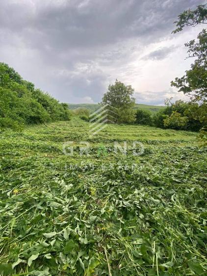 Teren de 2200 mp, în Rădaia