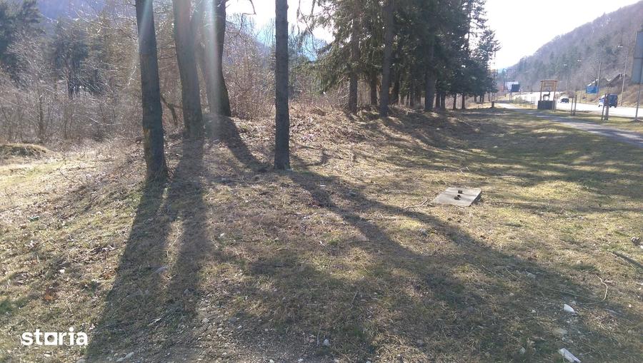 Teren de 5000 mp, în Central