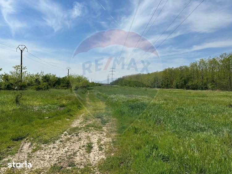 Teren 138.104 mp Dragomiresti-Vale, Ilfov, langa A0 - 7