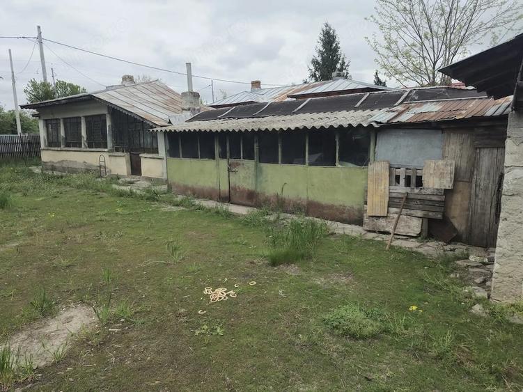 Casă cu Teren 2700 Mp în Dărăști-Vlașca