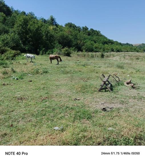 Teren în Central