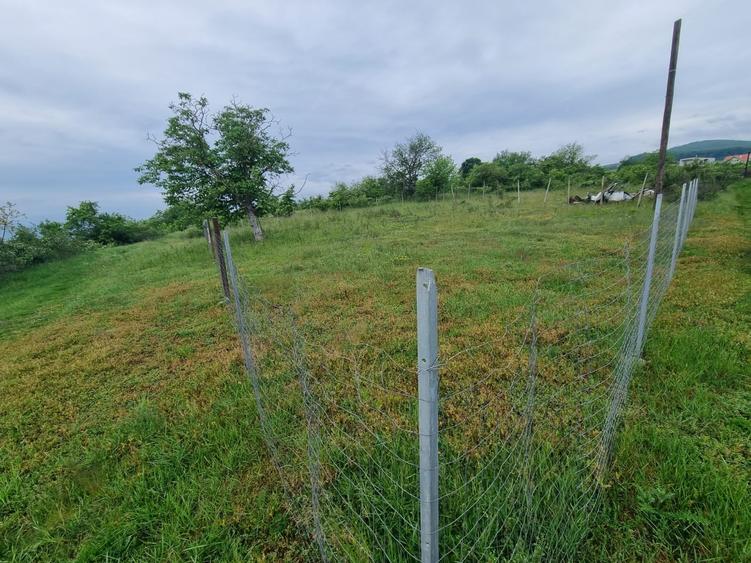 Teren Construcții de 676 mp, în Micești