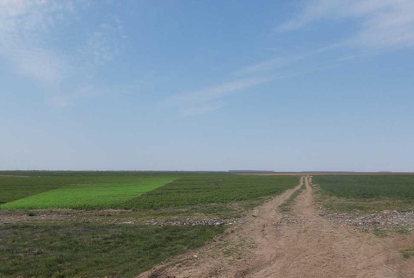 Teren agricol extravilan de 2000 mp, în Gălbinași