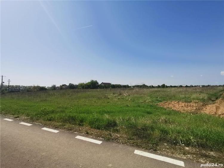 Teren de 4800 mp, în Cazaci