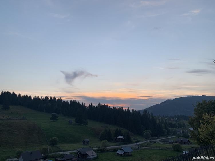 Teren de 7837 mp, în Dorna-Arini