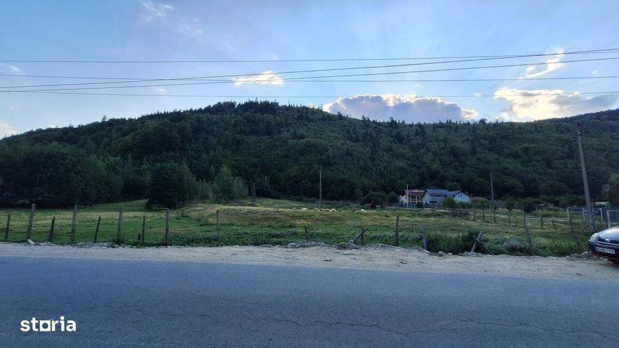 Spațiu comercial, în Pojorâta