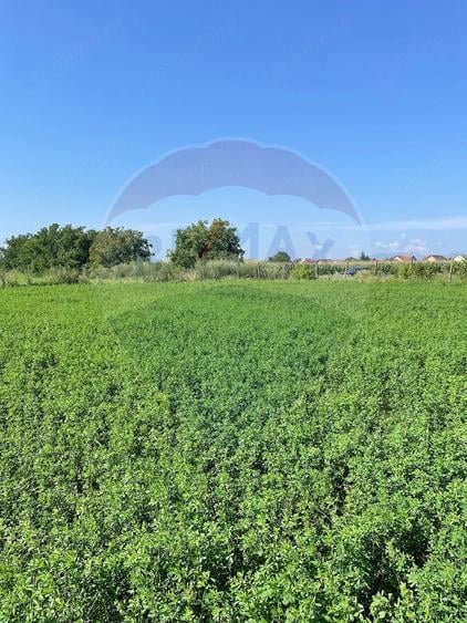 Teren de 1270 mp, în Central