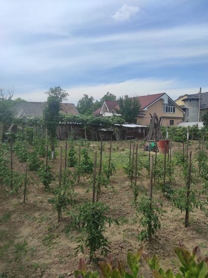 Casa + teren Gheraiesti - 6