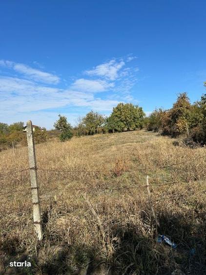 Teren intravilan de vanzare, 2600 mp, zona Carcea - 1