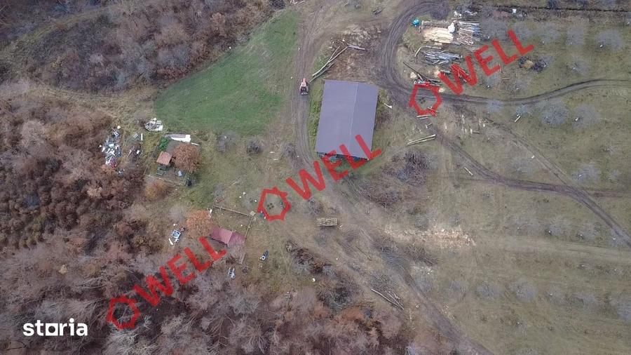 Teren extravilan de 25.274 m2 de vanzare in Calnic, langa padure! - 11