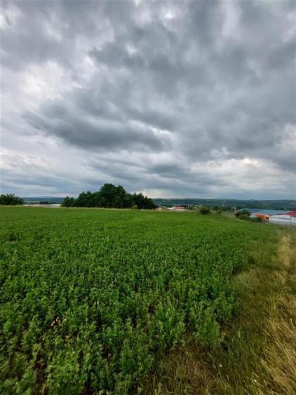 Teren agricol intravilan de 4800 mp, în Târgu Trotuș
