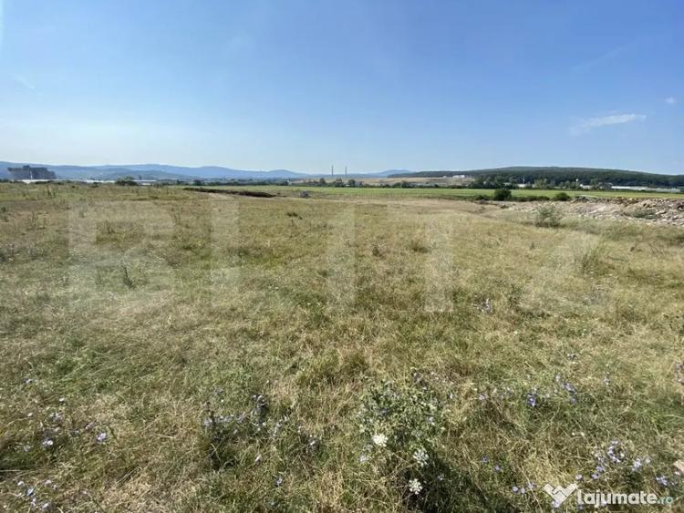 Teren de 3800 mp, în Aghireș