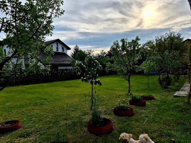 Casă cu Teren 885 Mp în Găgeni