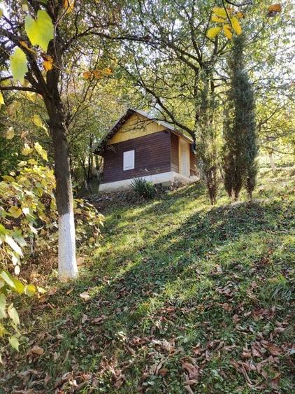 Teren Construcții intravilan de 9100 mp, în Viile Noi
