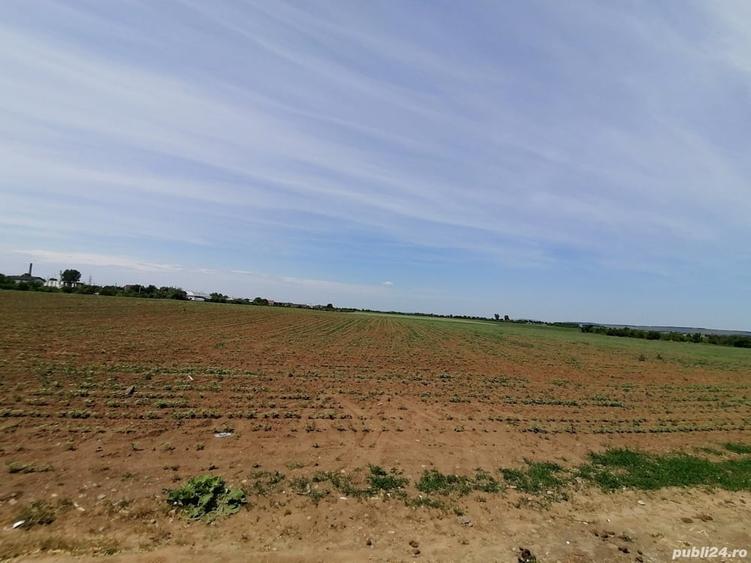 Teren de 5800 mp, în Central