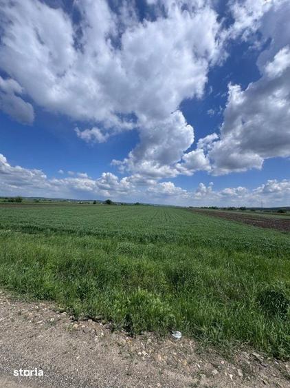 Teren de 10000 mp, în Central