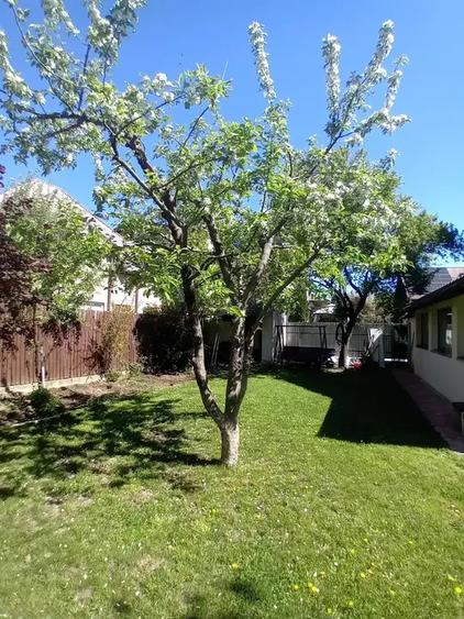 Casă individuală cu 5 camere cu Canalizare în Mogoșoaia