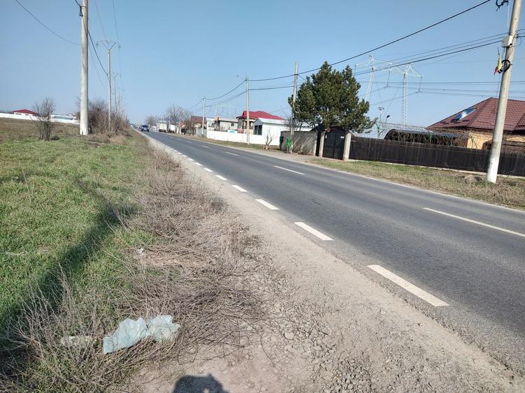 Teren de 5000 mp, în Frumușani