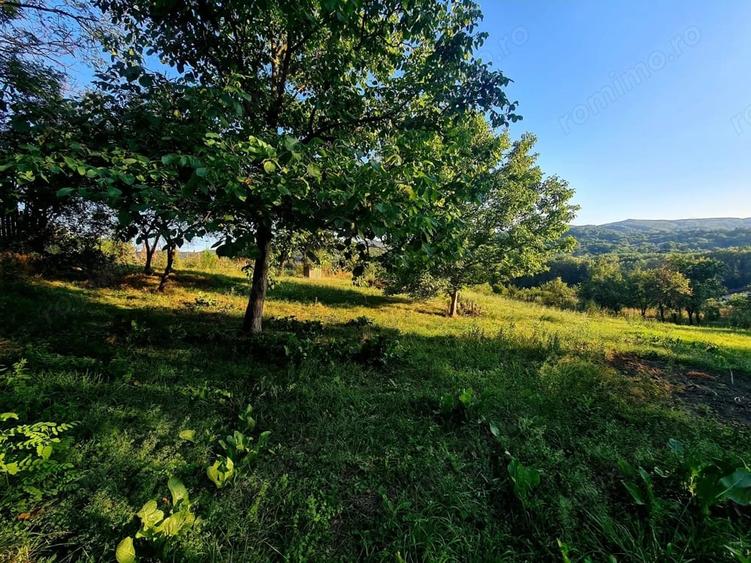 Teren de 3250 mp, în Păușești